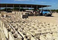 Requiere Camagüey mayor eficiencia en producción de materiales de construcción